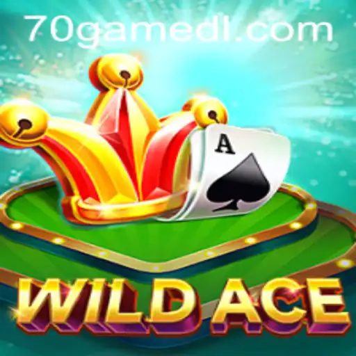 WildAce: The Thrilling New Gaming Experience